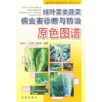 绿叶菜类蔬菜病虫害诊断与防治原色图谱/蔬菜病虫害图谱诊断与防治丛书(蔬菜病虫害图谱诊断与防治丛书)