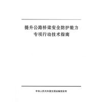 提升公路桥梁安全防护能力专项行动技术指南