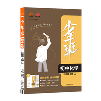 2021秋少年班九年级化学鲁科版上册 九年级刷题化学同步练习册试卷初中教材辅导资料 初三化学课时练练习册 中考总复习资料书