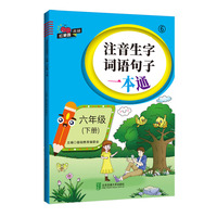 注音生字词语句子一本通·六年级（下册）