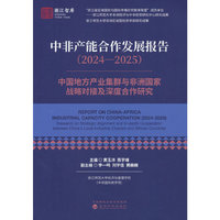 中非产能合作发展报告（2024—2025）:中国地方产业集群与非洲国家战略对接及深度合作研究