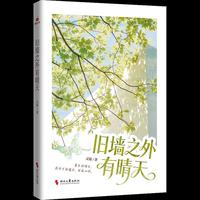 旧墙之外有晴天