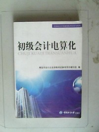 初级会计电算化