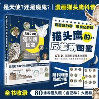 又萌又猛的猫头鹰图鉴