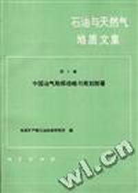 石油与天然气地质文集 第5集--中国油气勘探战略与规划部署