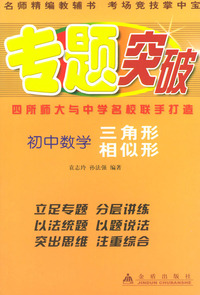 初中数学：三角形 相似形——专题突破丛书
