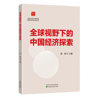 全球视野下的中国经济探索