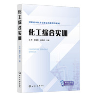 化工综合实训（王琳）