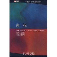 心理治疗核心概念系列丛书—内化(心理治疗核心概念系列丛书)