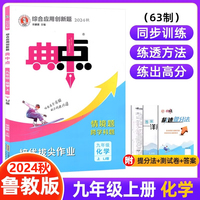 2024秋典中点九年级化学上册鲁教版综合应用创新题初三9年级上册同步练习题测试卷