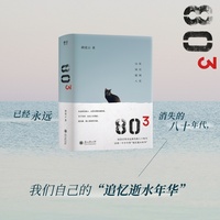 803（已经消失的八十年代，一个少年的“追忆似水年华”）