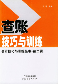 查账技巧与训练