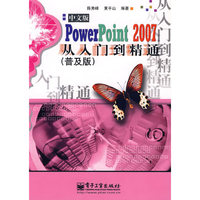 中文版PowerPoint 2007从入门到精通（普及版）