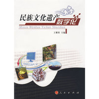 民族文化遗产数字化