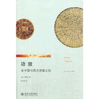 功效-在中国与西方思维之间