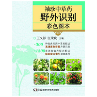 袖珍中草药野外识别彩色图本 野外识别中草药第一便携式工具书&nbsp