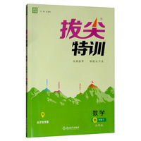 通城学典·拔尖特训：数学（四年级上 人教版）