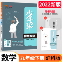 2022春少年班九年级数学沪科版下册同步课时训练 初中9年级数学hk版必刷题培优练习册一课一练衔接中考复习资料