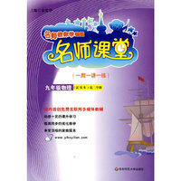 名师课堂：九年级物理 第二学期
