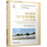 面向新型电力系统的储能与电力市场   贺徙 等