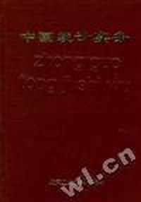 中国统计实务