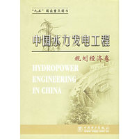 中国水力发电工程.规划经济卷