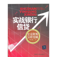 实战银行信贷：企业财务分析攻略