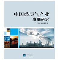 中国煤层气产业发展研究