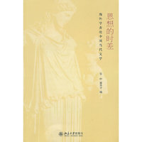 思想的时差-海外学者论中国当代文学