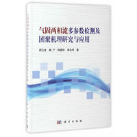 气固两相流多参数检测及团聚机理研究与应用