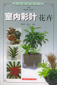 室内彩叶花卉——花卉爱好者丛书
