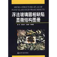 浮法玻璃固相缺陷显微结构图册