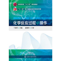 化学反应过程与操作(丁晓民)