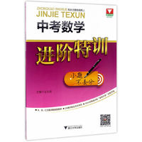 中考数学进阶特训