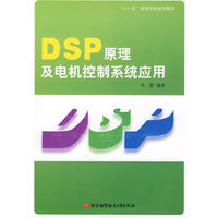 DSP原理及电机控制系统应用(十一五高等院校规划教材)