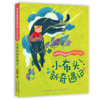 小布头新奇遇记  孙幼军经典童话系列·美绘注音版