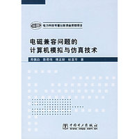 电磁兼容问题的计算机模拟与仿真技术(含光盘)