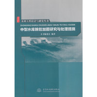 中型水库除险加固研究与处理措施