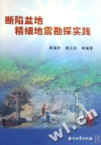 断陷盆地精细地震勘探实践