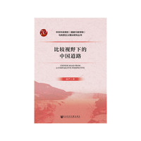 比较视野下的中国道路