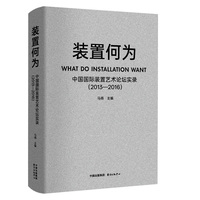 装置何为：中国国际装置艺术论坛实录（2013—2016）