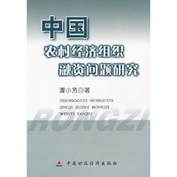 中国农村经济组织融资问题研究