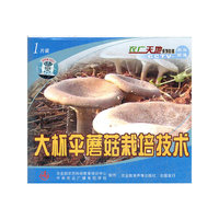 大杯伞蘑菇栽培技术（VCD）