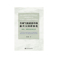 全球气候政治中的新兴大国群体化：结构、进程与机制分析