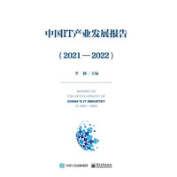 中国IT产业发展报告（2021—2022）