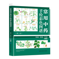 常用中药手绘彩色图谱（第二部）