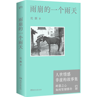 雨崩的一个雨天（人世情感非虚构故事集）碎裂之心如何修补？一个诗人对生活的观察和生命的思考。