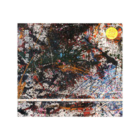 陈冠希 混乱(CD)