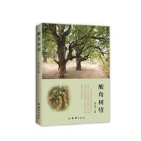 酸角树情