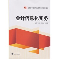 会计信息化实务